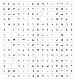 Word Search Game